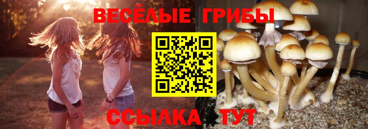 APVP Кимры